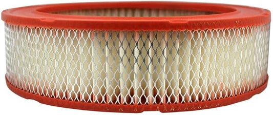 FRAM Extra Guard CA176 Replacement Engine Air Filter for Select GMC, Chevrolet, Pontiac, Checker and Volvo Models, Provides Up to 12 Months or 12,000 Miles Filter Protection