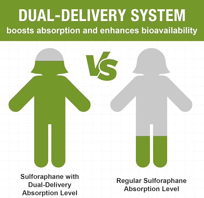 800 MG Liposomal Sulforaphane, Powerful Dual-Delivery for Maximum Absorption & Potency, Full-Spectrum Broccoli Extract, Antioxidant & Liver Supplement, 360 Softgels