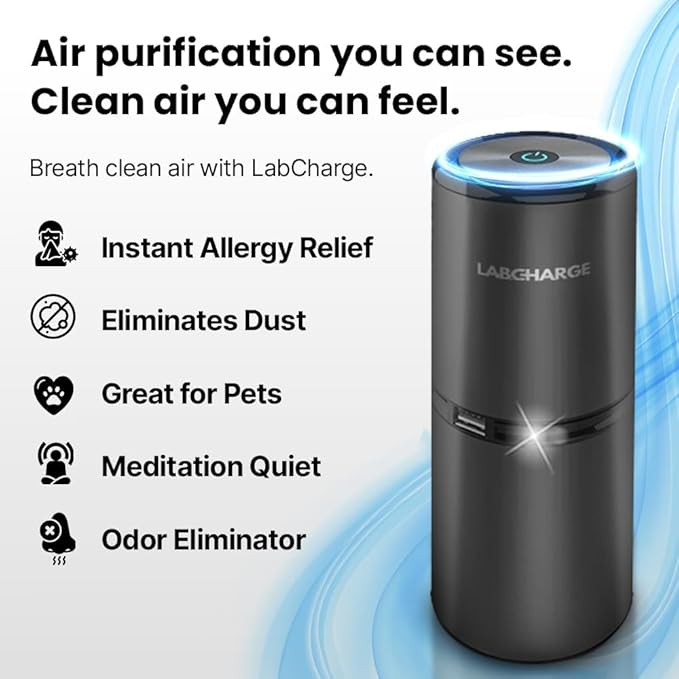 Small Ionic Air Purifier for Home & Bedroom – Silent HEPA Filter – Covers 250 Sq Ft - Free Cleaner for Pets, Hair, Smoke, Dust, Odors & Dander – Compact & Black Design - Pack of 4