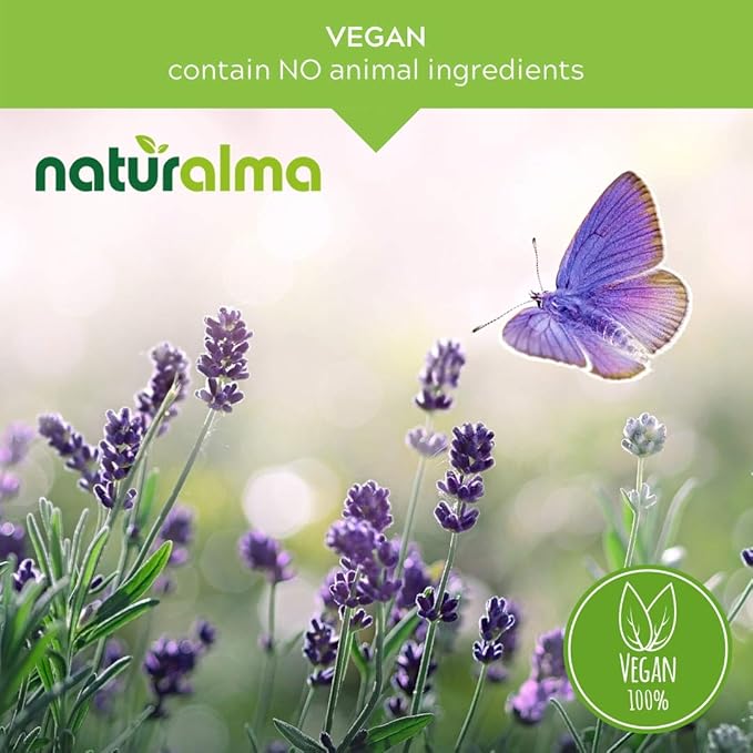 Naturalma Horse Chestnut (Aesculus hippocastanum) Seed Alcohol-Free Tincture - 6.76 fl oz Liquid Extract in Drops - Herbal Supplement - Vegan