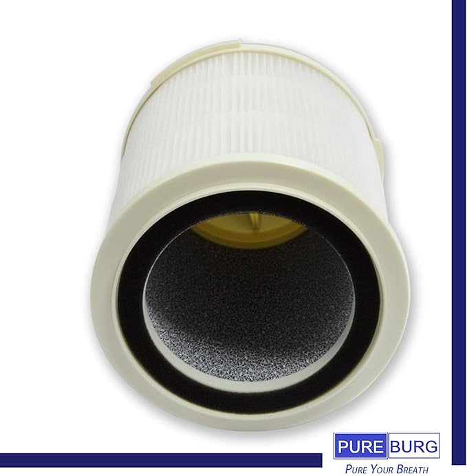 PUREBURG Replacement Filter Compatible with INTEY NY-BG55 Air Purifier,1-Pack H13 HEPA 4-Stage Filtration Activated carbon Air Clean Dust VOCs Odor PM2.5 Smoke