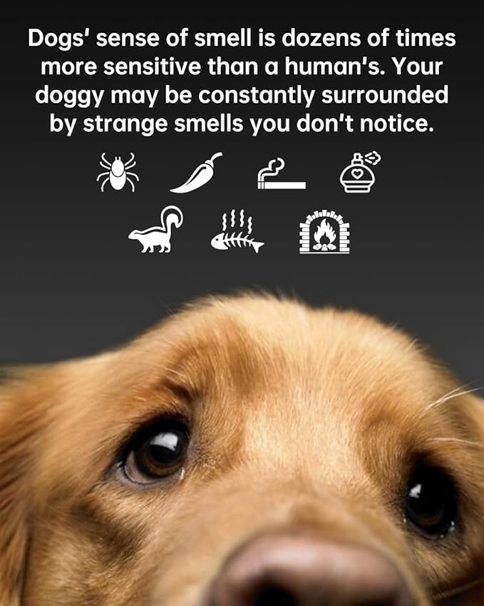 Air Purifier for Home Office, 360° Air Intake Outlet, Portable HEPA Filter Air Cleaner for Room Dust, Smoke, Pollen, Pets Dog Cat Dander, Odor, Low-noise Auto Mode, Desktop Size