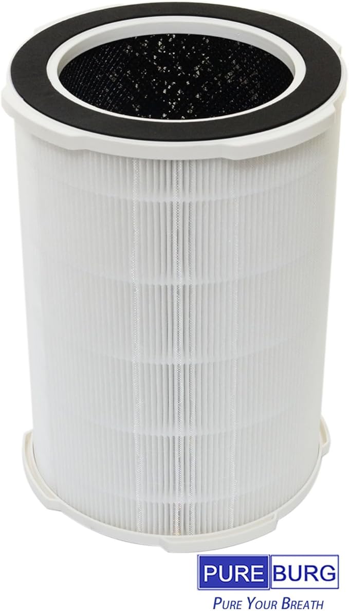 PUREBURG Replacement Filter Compatible with Ganiza G200S G200 Air Purifiers,2-Pack H13 HEPA 4-Stage Filtration Activated Carbon Air Clean Dust