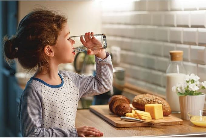 Frigidaire WFCB PureSource® Plus Refrigerator Water Filter Replacement | Set of 2