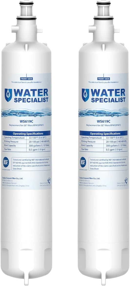 Waterspecialist Replacement for GE® RPWFE®, RPWF (Built-in CHIP) Refrigerator Water Filter, Compatible with GYS22GMNES, GYE22HSKSS, PYE22PELDS, GFE26GMKES, GFE28GYNFS, PFE28KYNFS, 2 Filters
