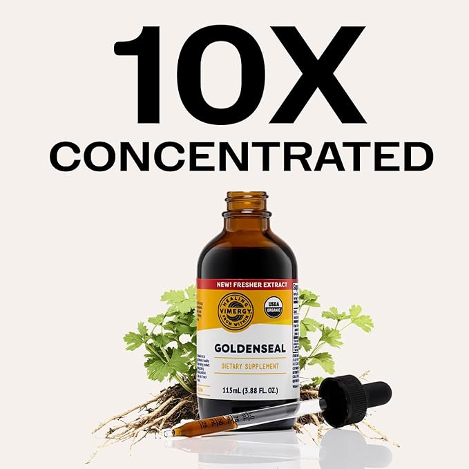 Vimergy Goldenseal Tincture Herbal Supplement – (57 Servings) 10:1 Extract Equivalent of 2000mg Herbal Equivalent– USDA Organic, Vegan, Alcohol-Free Golden Seal herb Drops Great for Tea (115 mL)