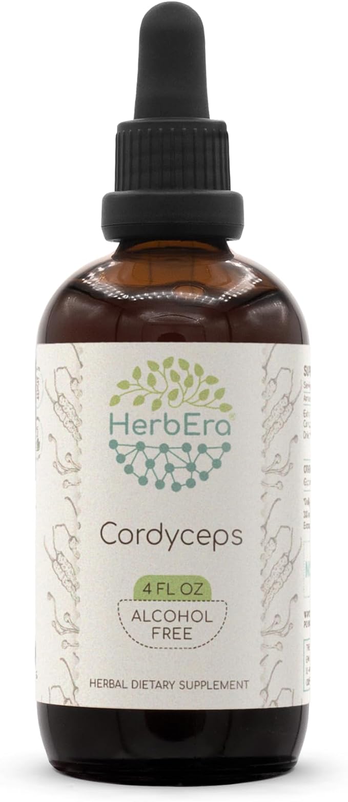 Cordyceps B120 Alcohol-Free Herbal Extract Tincture, Concentrated Liquid Drops Natural Cordyceps (Cordyceps Sinensis) Dried Mushroom (4 fl oz)