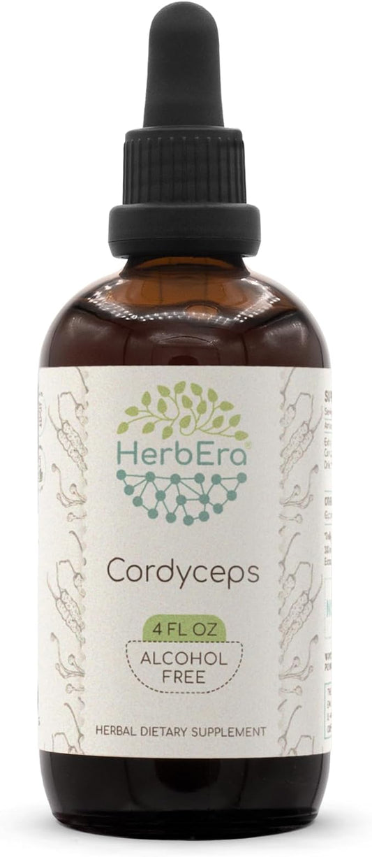Cordyceps B120 Alcohol-Free Herbal Extract Tincture, Concentrated Liquid Drops Natural Cordyceps (Cordyceps Sinensis) Dried Mushroom (4 fl oz)