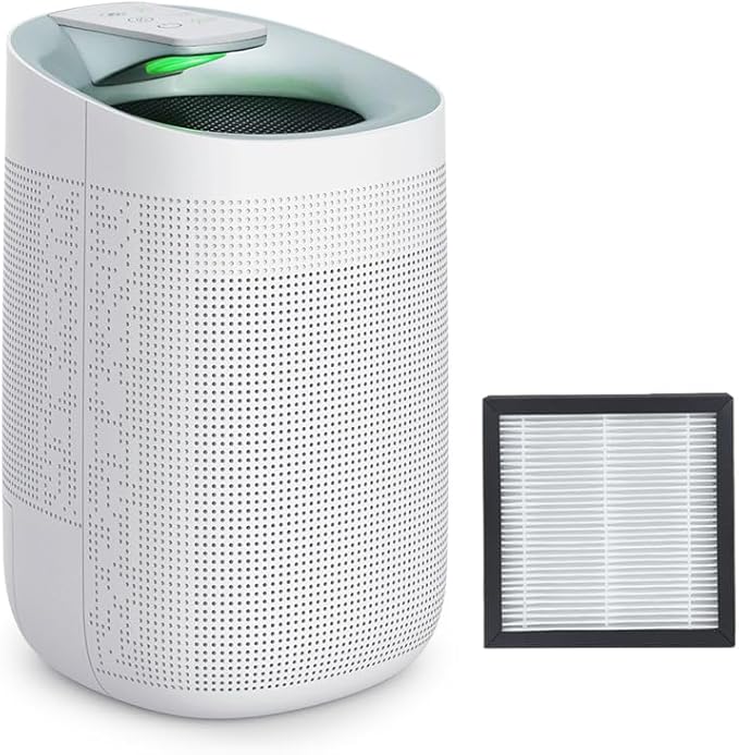 1000ml Air Dehumidifier w/Purifying Function for Home (800 Sq.Ft), Small Dehumidifiers with WIFI APP Control, Auto Shut Off, True HEPA Filter, Ideal for Closet Bedroom Bathroom 2 Filter