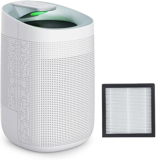 1000ml Air Dehumidifier w/Purifying Function for Home (800 Sq.Ft), Small Dehumidifiers with WIFI APP Control, Auto Shut Off, True HEPA Filter, Ideal for Closet Bedroom Bathroom 2 Filter