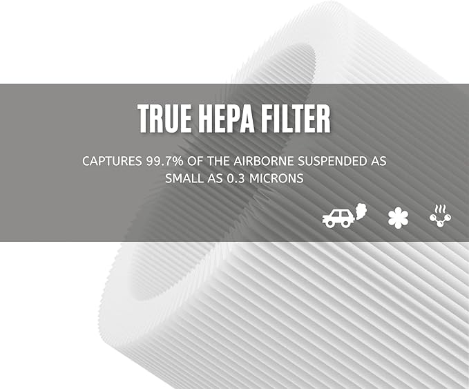 Nispira TD-1300 CL-6070A TAP01 4-in-1 True HEPA Replacement Filters Compatible with Tredy TD-1300, Tenergy Renair, Cool-Living, BEABA Nursery Air Purifier, 1 Pack