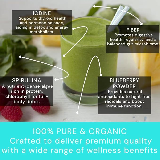 Ocean's Balance Daily Detox Smoothie Powder with Cilantro, Blueberry, Spirulina, Dulse Seaweed & Barley Grass Juice Powder — Easily Digested Smoothie Mix for Detox Cleanse (4 oz - 1 Pack)