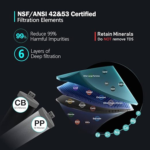 Frizzlife DW15F Under Sink Water Filter System with Brushed Nickel Faucet, NSF/ANSI 53&42 Certified Elements, Reduces 99.99% Lead, Chlorine, Fluoride, Bad Taste & Odor, 0.5 Micron, USA Tech Support