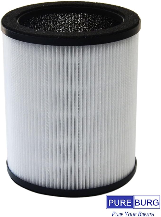 PUREBURG Replacement True HEPA Filter Compatible with Druiap KJ80 Air Purifier,Part# AF3080, H13 3-Stage Filtration High-efficiency Activated carbon 2-in-1 Air Clean Dust VOCs,2-Pack