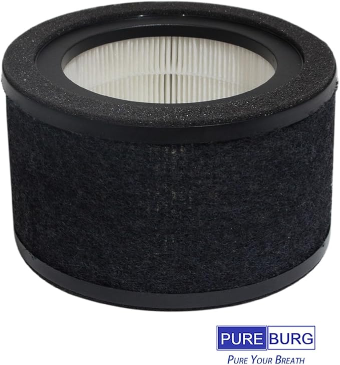 PUREBURG FLT4200 Replacement Filter Set Compatible with GermGuardian AC4200W AC4250B Air Purifier Filter L,2-Pack H13 HEPA + Activated Carbon Pre-Filter