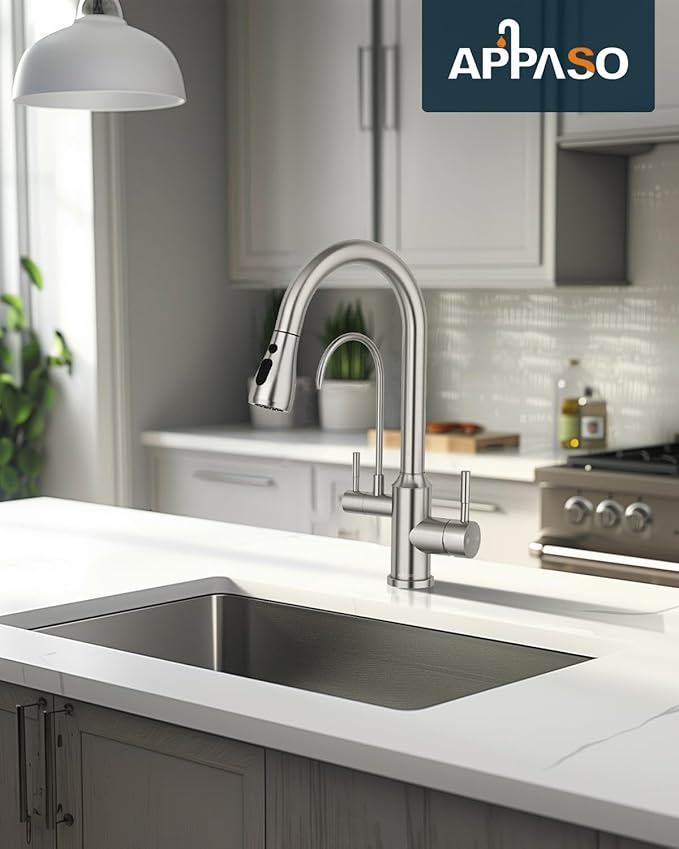 APPASO Kitchen Faucet with Water Filter, Pull Out 3 Way Sink Faucets with Sprayer, High Arch 2 Handle Faucet - 2 in 1 Faucets Brushed Nickel, Without Water Filtration Device