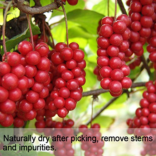 Wananfu Schisandra Berry Dried 4oz, Schizandra Berries for Tea, Wuweizi (北五味子)