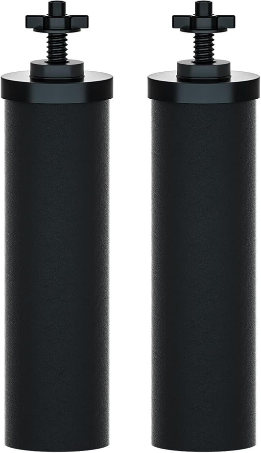 Purewell PF-2 Black 2-Stage Purification Elements, Replacement Filters for ProOne® and Berkey® Filters, ProOne® Big+ or Berkey® Big+ Gravity Water Filter System and Purewell System (2 Pack, K Series)