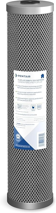 Pentair Pentek FloPlus-20BB Big Blue Carbon Water Filter, 20-Inch, Whole House Modified Molded Carbon Block Replacement Cartridge, 20" x 4.5", 0.5 Micron