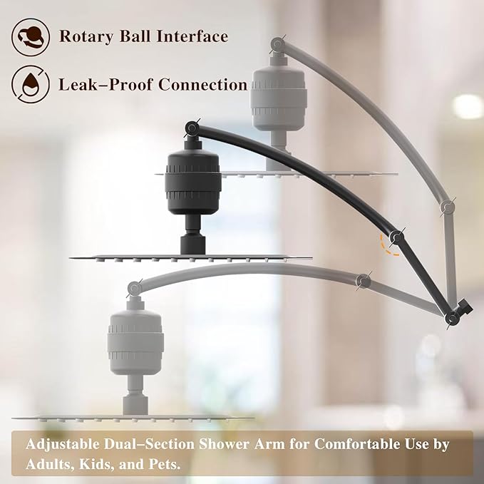 Rain Shower Head with 20-Stage Shower Filter, High Pressure Filtered Showerhead with Adjustable Extension Arm for Removing Chlorine and Harmful Substances(10 Inch, Matte Black)