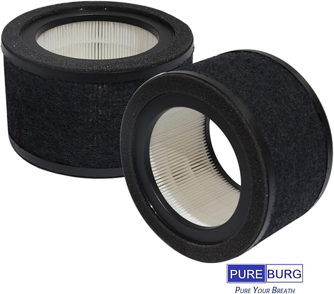 PUREBURG FLT4200 Replacement Filter Set Compatible with GermGuardian AC4200W AC4250B Air Purifier Filter L,2-Pack H13 HEPA + Activated Carbon Pre-Filter