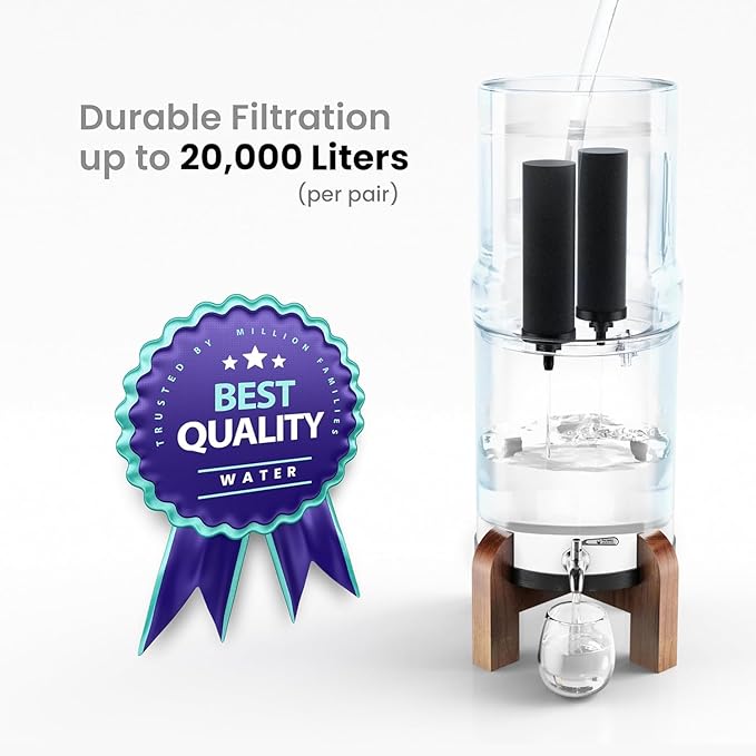 NSF Certified Smart Carbon (Black) Replacement Filter Elements - Pack of 2 Filters for Phoenix Gravity Water Filters, Replacement for Berkey® BB9-2, Waterdrop & Other Countertop Water Filters