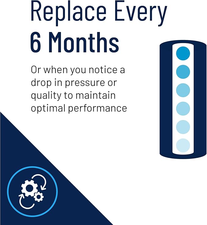 Pentair Pentek EP-BB Big Blue Carbon Water Filter, 10-Inch, Whole House Carbon Block Replacement Cartridge with Bonded Powdered Activated Carbon (PAC) Filter, 10" x 4.5", 5 Micron, Pack of 4