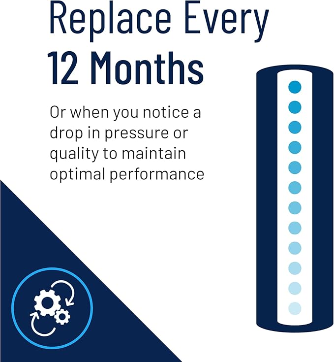 Pentair Pentek EPM-20BB Big Blue Carbon Water Filter, 20-Inch, Whole House Modified Epsilon Carbon Block Replacement Cartridge with Bonded Powdered Activated Carbon (PAC) Filter, 20" x 4.5", 10 Micron