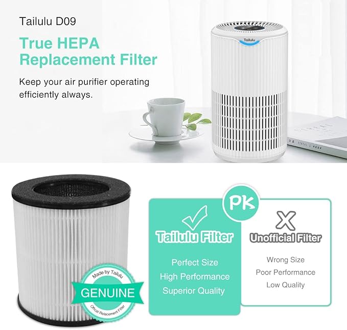 Tailulu Air Purifier Replacement Filter for D09 Air Cleaner, 3-in-1 True H13 HEPA Filter, 1 Pack