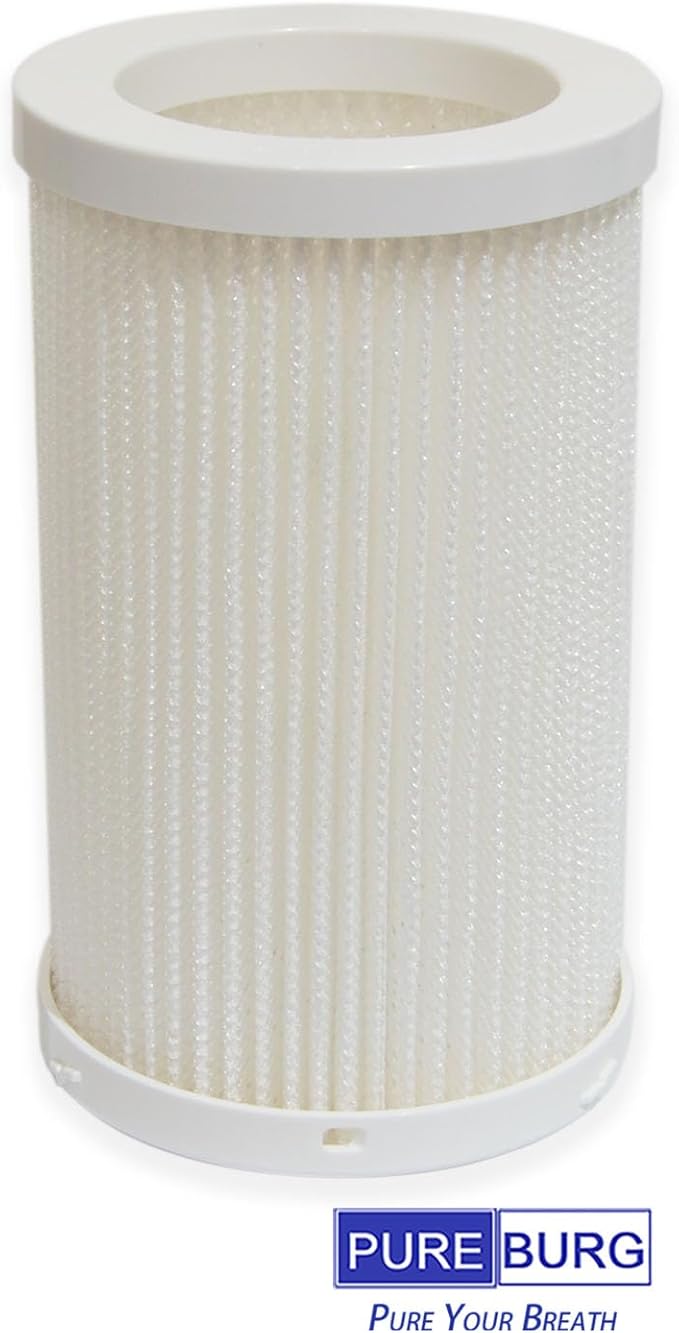 PUREBURG AS04FT-2 Replacement Filters Compatible with DH Lifelabs Aaira + HEPA Air Purifier,2-Pack Evaporation Filter