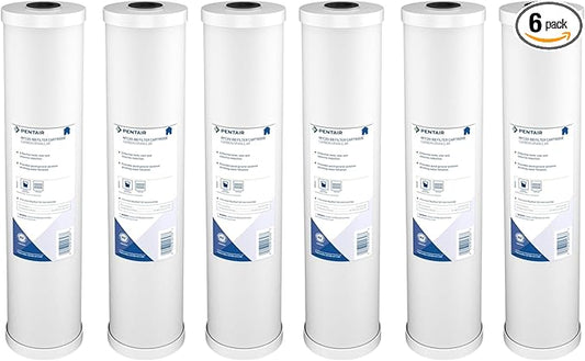 Pentair Pentek RFC-20BB Big Blue Carbon Water Filter, Whole House Heavy Duty Radial Flow Carbon Replacement Cartridge with Granular Carbon (GAC) Filter, 20" x 4.5", 25 Micron, Pack of 6, White