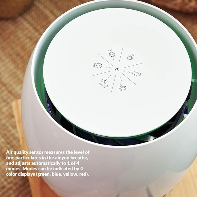 Avari EG Air Purifier Made in Korea. 4-Stage Embossed HEPA Filter Technology, Pre-Filter, Carbon Deodorizer, LED Sanitizer. AHAM & ECARF, ETL, CARB Tested and Certified