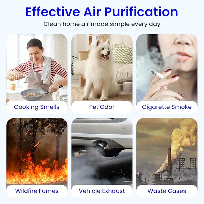 Future Way 2-Pack C545 Replacement Filter S Kit Compatible with Winix C545 Air Purifier, H13 True HEPA Filter, Replace 1712-0096-00