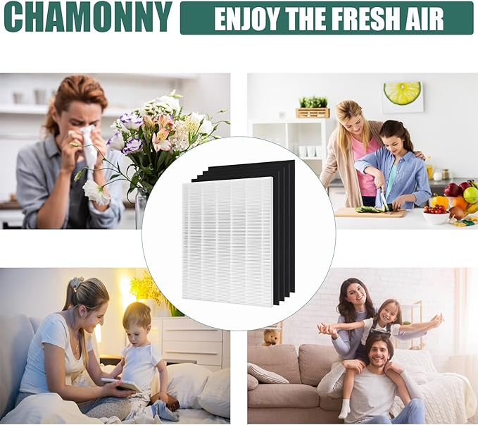 D480 True HEPA Replacement Filter D4, Compatible with Winix D480 Air Purifier, Compare to Winix D4 Filter, Item Number 1712-0100-00, 1 H13 True HEPA Filters + 4 Activated Carbon Pre-Filters