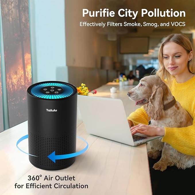 Air Purifiers for Bedroom Home, Tailulu H14 True HEPA Air Purifier Filter, Quiet Air Cleaner With 12dB Sleep Mode Night Light Speed Control Timer, Portable Small Air Purifier For Allergies Pets, AP052