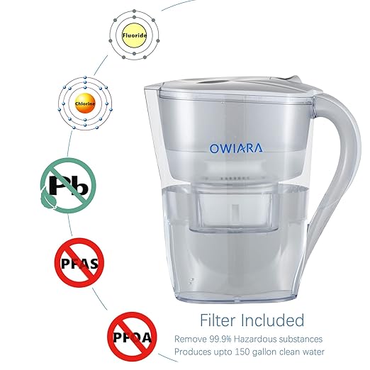 Water Filter Pitchers for Drinking Water with Activated Carbon Filter,10 Cup 150 Gallon Filter Water Pitcher, BPA Free and Removes Fluoride, Chlorine, Lead, PFAS, PFOA
