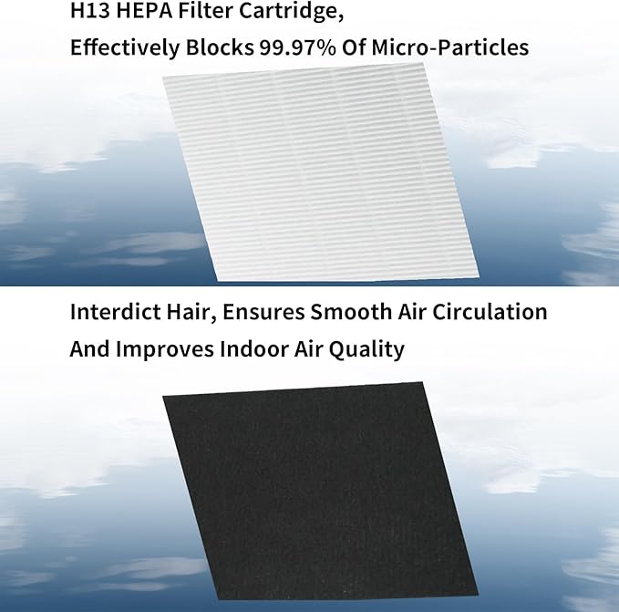 D480 H13 True Hepa Replacement Filter D4, Compatible with Winix D480 Air Purifier, 1 True HEPA+6 Carbon Filters, Part Number 1712-0100-00, True HEPA D4 Filter.