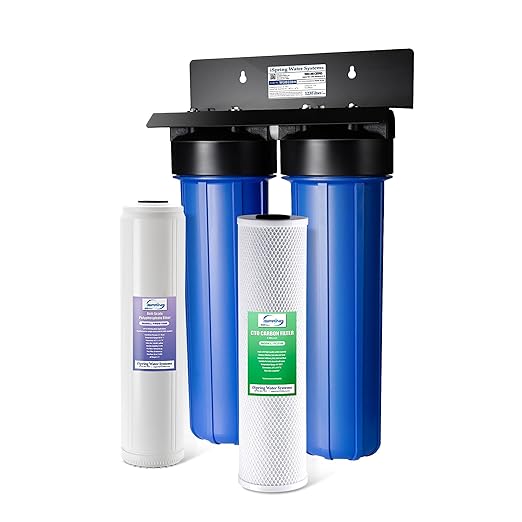 iSpring Whole House Water Filter System, Reduces Scale, Corrosion, Chlorine, Taste, Odor, 2-Stage Water Descaler and Water Filter, Model: WGB22B-DS