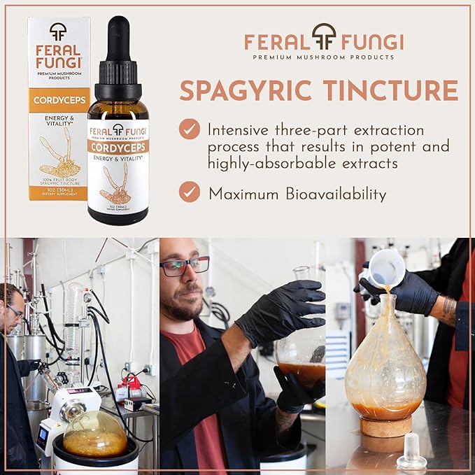 Cordyceps Extract – Triple-Extracted Spagyric Tincture for Energy and Endurance – 100% Fruiting Body – Natural Flavor – Grown and Made in The USA – 1oz
