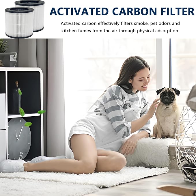 Replacement Air Filter A10 Compatible With GANIZA A10 AIR Purifier,H13 True HEPA Activated Carbon Filter(2-Pack)