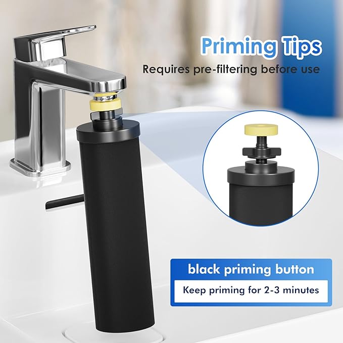 Purewell PF-2 Black 2-Stage Purification Elements, Replacement Filters for ProOne® and Berkey® Filters, ProOne® Big+ or Berkey® Big+ Gravity Water Filter System and Purewell System (2 Pack, K Series)