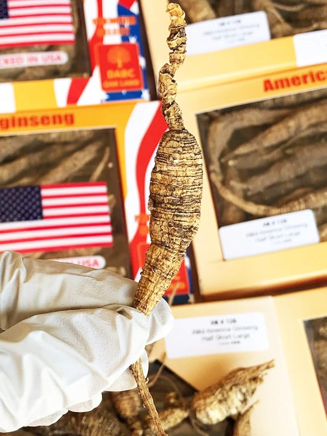 8OZ=227g/Box American Wild Ginseng 15~20 Years, Wisconsin Whole Ginseng Root Hand-Selected | 美国威斯康辛州野生西洋参 花旗参 野泡参 大号 |Cultivated American Wisconsin Ginseng Lager WI 126#L 8OZ/Box