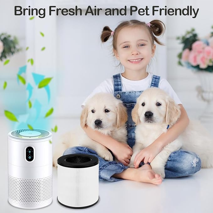 B-D02L/ M05 Replacement Filter Compatible with MOOKA B-D02L/M05 & KOIOS B-D02L, VEWIOR B-D02U and Tailulu D10 Air Purifier, H13 True HEPA Air Filters for MOOKA B-D02L Replacement Filter, 2 Pack