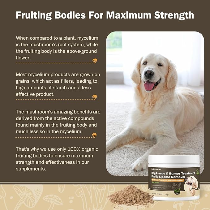 Natural Dog Lumps & Bumps Treatment - Lipoma Supplement for Dogs with Turkey Tail Mushroom Power - Buddy Immune Support & More Energy Guard with Lion’s Mane, Chaga, Reishi, Shiitake Mushrooms
