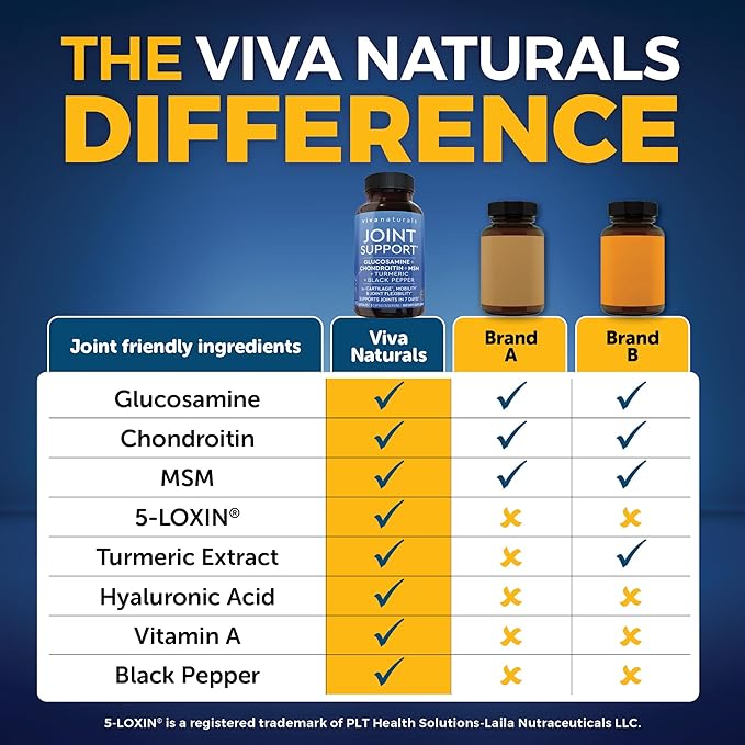 Viva Naturals Glucosamine Chondroitin MSM Joint Support Supplement, 90 Capsules - with Turmeric, Black Pepper, Boswellia and Hyaluronic Acid - Joint Health Supplement for Mobility and Flexibility