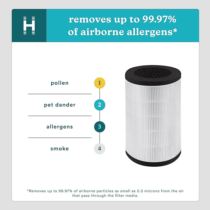 HoMedics TotalClean 3-in-1 True HEPA Filter Replacement for Air Purifier HoMedics AP-T40, AP-T40WT, AP-T43-WT, AP-T45-BK and AP-T45-WT, True HEPA Filter Removes Up to 99.97% of Airborne Particles