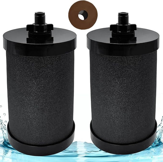 2387 Pro Replacement Water Filter Compatible with Alexapure Systems - 2 Filters + Backwash Unit, Reduces Lead, Chlorine, 5000 Gallon Capacity