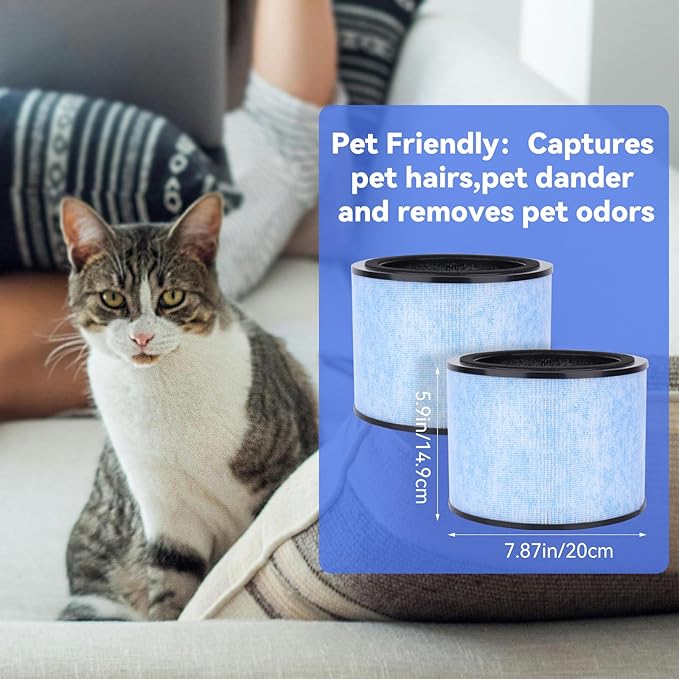 AP200 Air Fil-TER Replacement - Compatible with Instant® AP200 Air Purifier, Compare to F200 Filter, 4 in 1 Filtration H13 True HEPA Replacement filter, 2 Pack