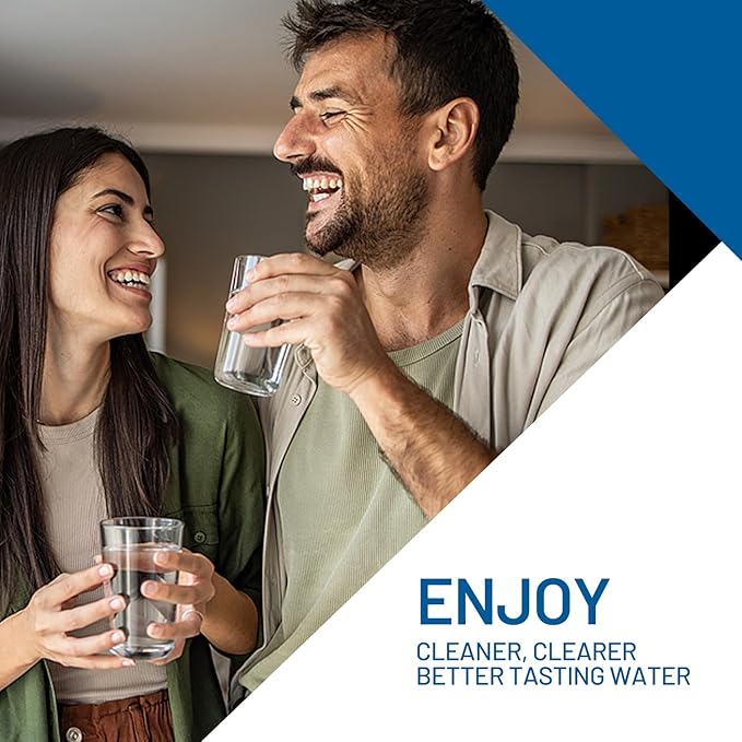 1 Micron 10" x 2.5" Whole House CTO Carbon Block Water Filter Cartridge Replacement for SCWH-5, AO-WH-PRE-RCP2, WHKF-WHWC, FXWTC, FX12P, WFPFC8002, WFPFC9001, 3WH-STDCW-F02, W5CIP (Pack of 4)