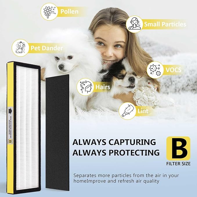 4 Pack FLT4825 HEPA Replacement Filter B Compatible with Germ-Guardian Purifiers AC4825, AC4825E, AC4300, AC4800, AC4900, AC4850, 4 Pack H13 True HEPA Filters and 6 Activated Carbon Pre-Filters.